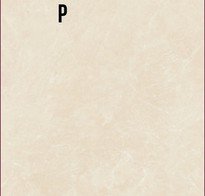 Evoc Beige