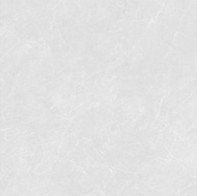 Evoc Gris